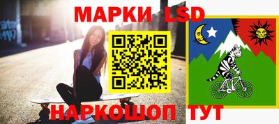 гашик Аргун