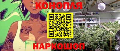 гашик Аргун